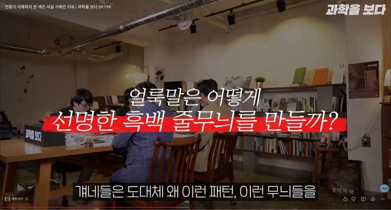 얼룩말의 흑백 줄무늬 형성 원리를 다루는 참고 영상 캡처
