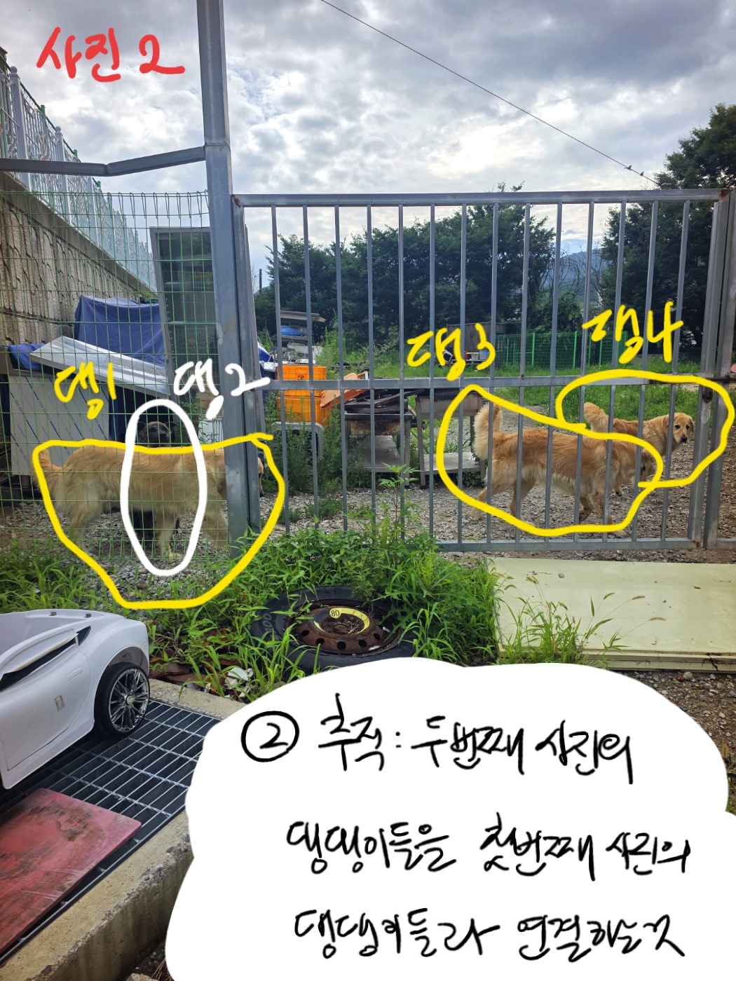같은 공간에서 네 마리의 위치가 달라진 두 번째 관측 사진